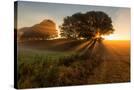Stretched Canvas
