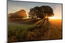 Wood Mount