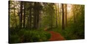 Stretched Canvas
