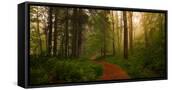 Canvas Black