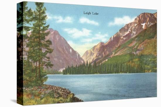 Leigh Lake, Grand Teton-null-Stretched Canvas