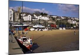 Leigh-On-Sea, Essex, England, United Kingdom-Jenny Pate-Mounted Photographic Print