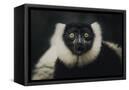 Canvas Black