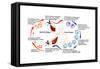 Leishmaniasis Life Cycle-Science Source-Framed Stretched Canvas