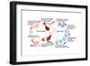 Leishmaniasis Life Cycle-Science Source-Framed Art Print