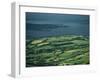 Leitrim, Daura, Shannon River, County Leitrim, Connacht, Republic of Ireland, Europe-Woolfitt Adam-Framed Photographic Print