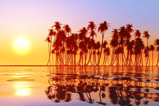 Premium Photographic Print, , large