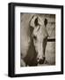 Lela’s Lad-Barry Hart-Framed Giclee Print