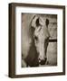 Lela’s Lad-Barry Hart-Framed Giclee Print