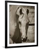 Lela’s Lad-Barry Hart-Framed Giclee Print