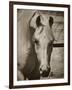 Lela’s Lad-Barry Hart-Framed Giclee Print