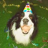 Dog Wearing Party Hat-Leland Bobbé-Mounted Photographic Print