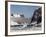 Lemaire Channel, Antarctic Peninsula, Antarctica, Polar Regions-Sergio Pitamitz-Framed Photographic Print