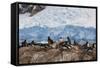 Lemaire Channel, Antarctica. Gentoo Penguin Colony-Janet Muir-Framed Stretched Canvas