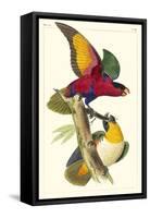 Lemaire Parrots I-C.L. Lemaire-Framed Stretched Canvas