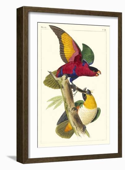 Lemaire Parrots I-C.L. Lemaire-Framed Art Print