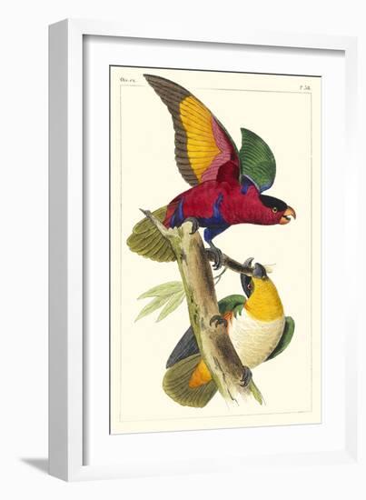 Lemaire Parrots I-C.L. Lemaire-Framed Art Print