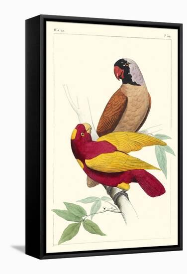 Lemaire Parrots II-C.L. Lemaire-Framed Stretched Canvas