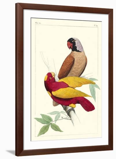 Lemaire Parrots II-C.L. Lemaire-Framed Art Print