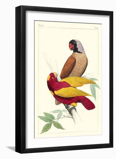 Lemaire Parrots II-C.L. Lemaire-Framed Art Print