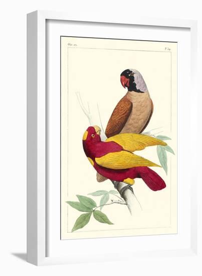 Lemaire Parrots II-C.L. Lemaire-Framed Art Print