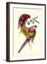 Lemaire Parrots III-C.L. Lemaire-Framed Art Print