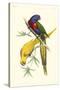 Lemaire Parrots IV-C.L. Lemaire-Stretched Canvas
