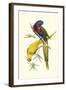 Lemaire Parrots IV-C.L. Lemaire-Framed Art Print