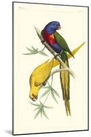 Lemaire Parrots IV-C.L. Lemaire-Mounted Art Print