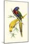 Lemaire Parrots IV-C.L. Lemaire-Mounted Art Print