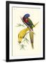 Lemaire Parrots IV-C.L. Lemaire-Framed Art Print