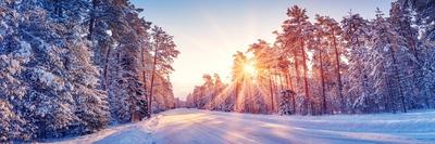 Beautiful View of the Sunrise in the Morning on the Country Snowy Road.-LeManna-Photographic Print