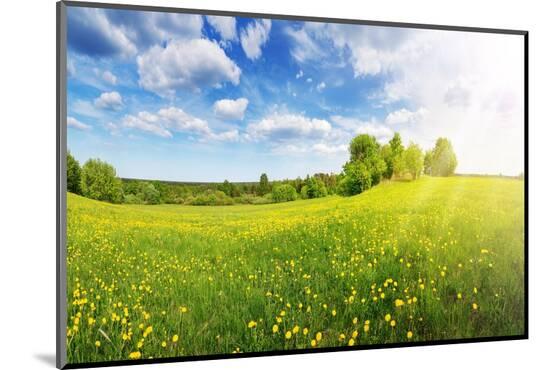 Photographic Print, , large