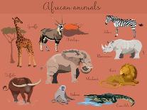 Wild African Animals Set with Nature Elements.-Lemberg Vector studio-Stretched Canvas