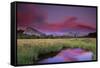 Lembert Dome and Stream at Sunset, Tuolumne Meadows, Yosemite National Park, California, USA-Tony Rowell-Framed Stretched Canvas