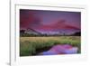 Lembert Dome and Stream at Sunset, Tuolumne Meadows, Yosemite National Park, California, USA-Tony Rowell-Framed Photographic Print