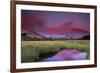 Lembert Dome and Stream at Sunset, Tuolumne Meadows, Yosemite National Park, California, USA-Tony Rowell-Framed Photographic Print