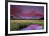 Lembert Dome and Stream at Sunset, Tuolumne Meadows, Yosemite National Park, California, USA-Tony Rowell-Framed Photographic Print