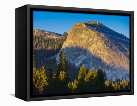 Lembert Dome in Evening Glow, Yosemite National Park, California, USA-Mark Williford-Framed Stretched Canvas