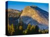 Lembert Dome in Evening Glow, Yosemite National Park, California, USA-Mark Williford-Stretched Canvas
