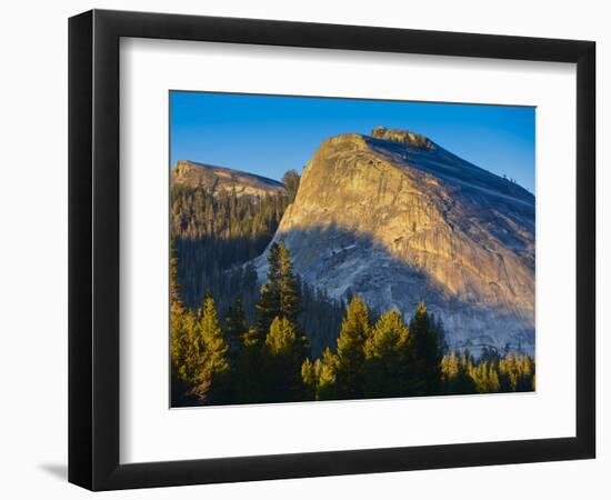 Lembert Dome in Evening Glow, Yosemite National Park, California, USA-Mark Williford-Framed Photographic Print