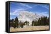 Lembert Dome, Yosemite National Park, California, United States of America, North America-Jean Brooks-Framed Stretched Canvas