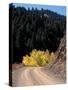 Lemhi Pass, Continental Divide, Lewis and Clark Trail, Idaho, USA-Connie Ricca-Stretched Canvas