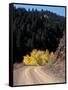 Lemhi Pass, Continental Divide, Lewis and Clark Trail, Idaho, USA-Connie Ricca-Framed Stretched Canvas