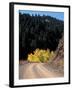 Lemhi Pass, Continental Divide, Lewis and Clark Trail, Idaho, USA-Connie Ricca-Framed Photographic Print