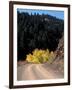 Lemhi Pass, Continental Divide, Lewis and Clark Trail, Idaho, USA-Connie Ricca-Framed Photographic Print