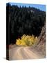 Lemhi Pass, Continental Divide, Lewis and Clark Trail, Idaho, USA-Connie Ricca-Stretched Canvas