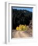 Lemhi Pass, Continental Divide, Lewis and Clark Trail, Idaho, USA-Connie Ricca-Framed Photographic Print