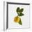 Lemon and Blossom-DLILLC-Framed Photographic Print