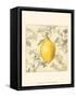 Lemon and Botanicals-Megan Meagher-Framed Stretched Canvas